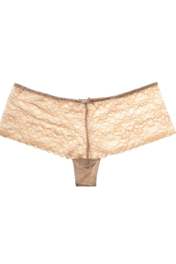 Nude Lace Seamless French Briefs Birthday Suit.