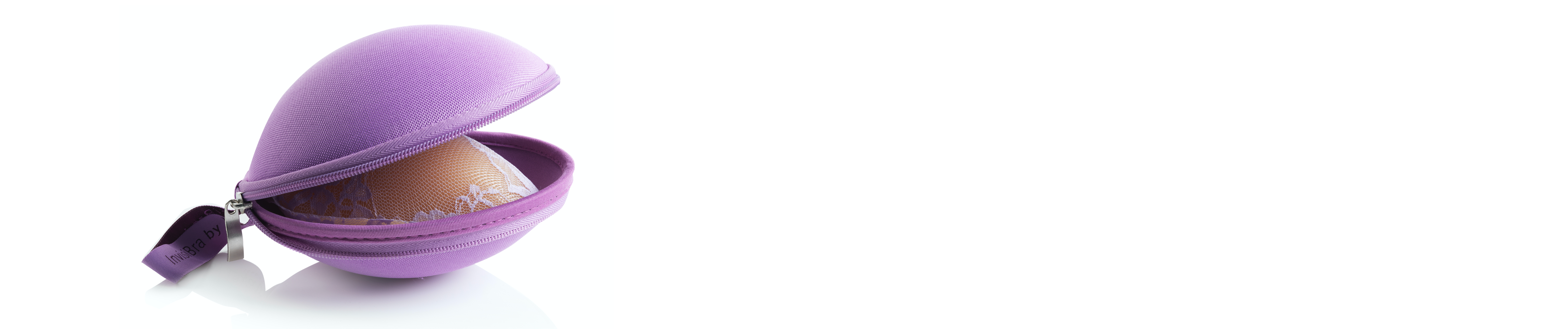 Bra Storage / Travelling Bag